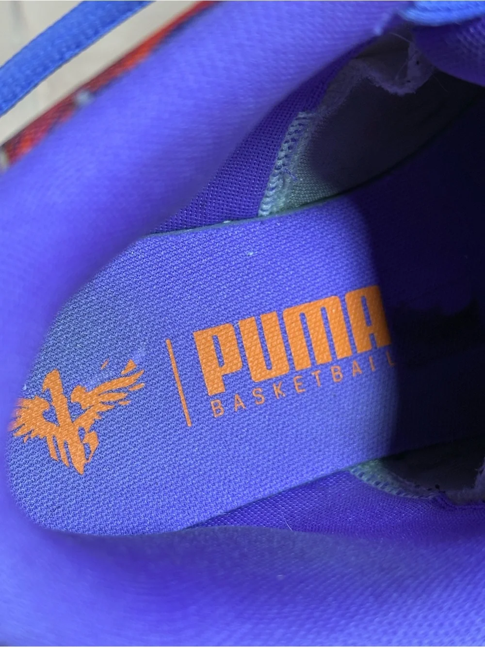 Puma mb 04